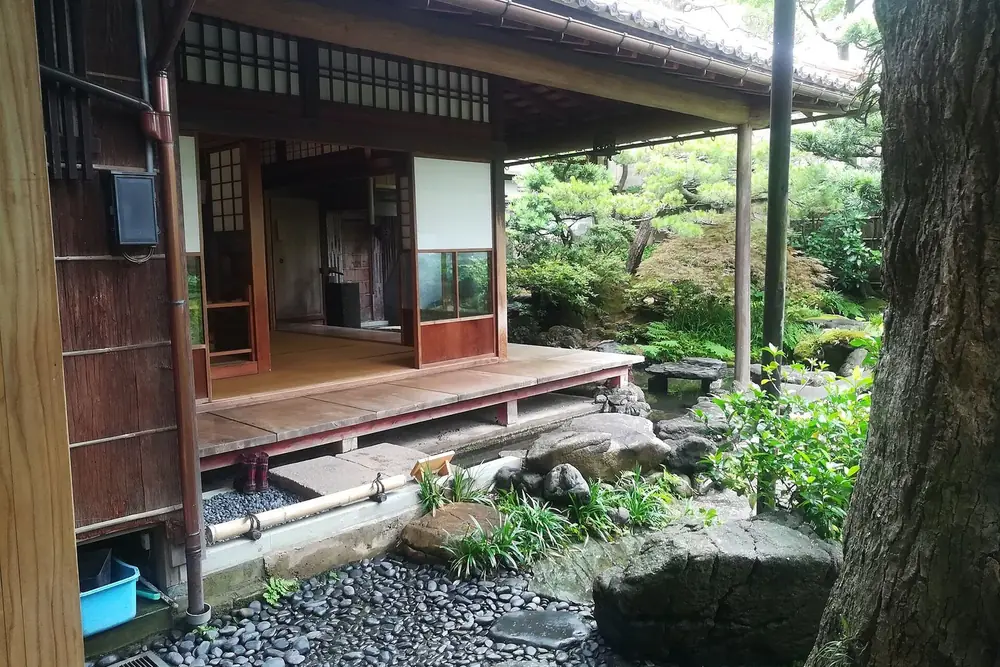 從緣廊眺望庭園的和室